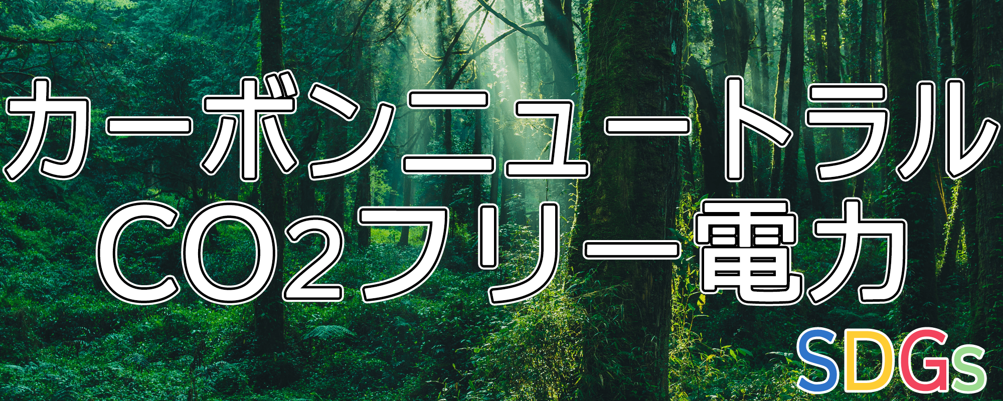 モリカワのでんきCO2フリー電力