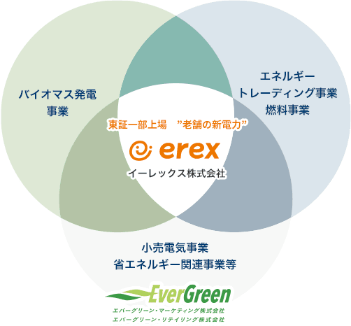 自社による発電、余剰電力買取り、電力トレーディング事業