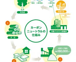 カーボンニュートラル バイオマス発電