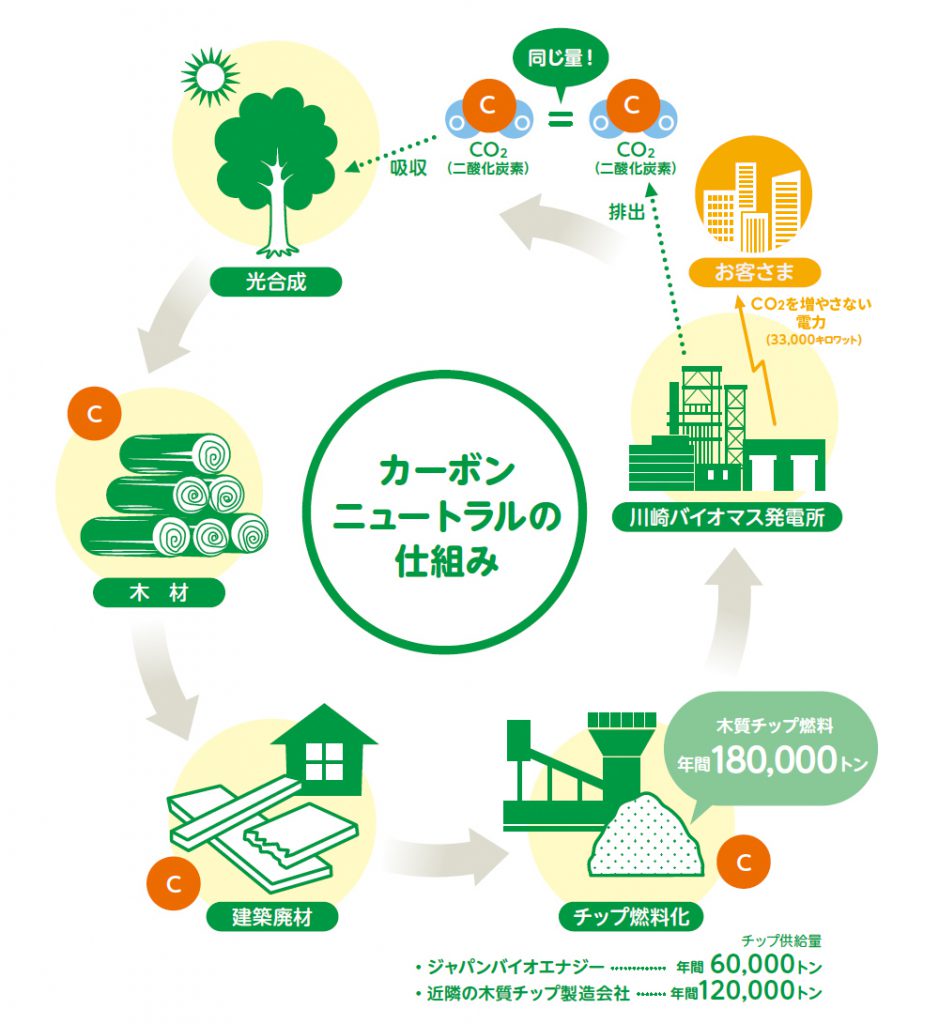 カーボンニュートラル バイオマス発電