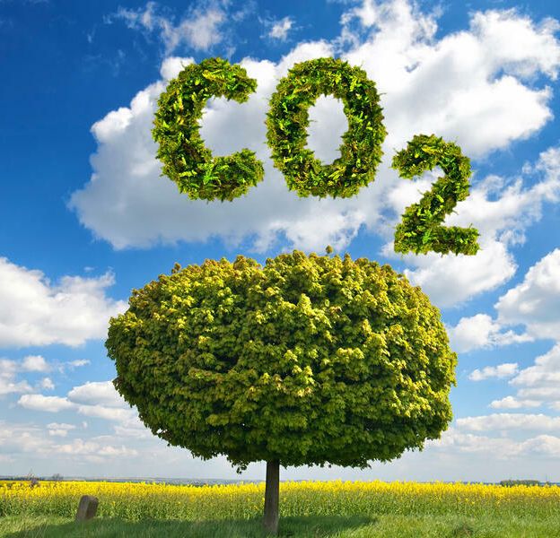 再生可能エネルギーCO2フリー