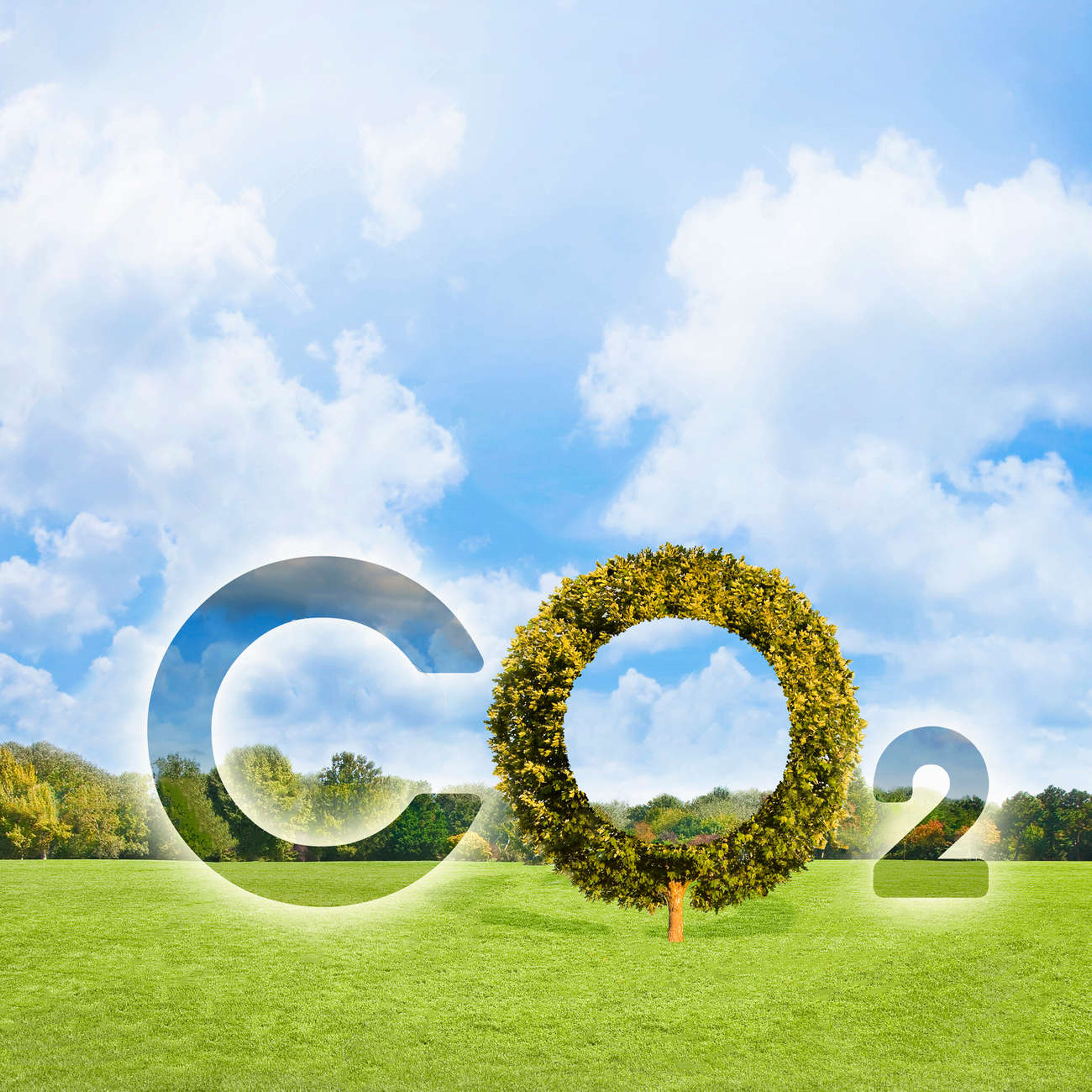 モリカワのでんきは環境にやさしいCO2フリーのでんき